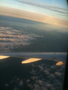 Plane View